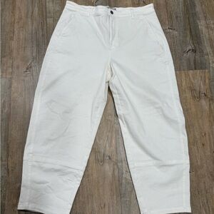 Everlane Organic Cotton Barrel Pants